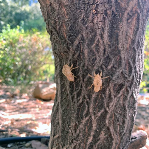 7ο BCK Συμπόσιο Κινηματογράφου: Δημιουργικές εξερευνήσεις και εργαστήρια στον κινηματογράφο και την τέχνη