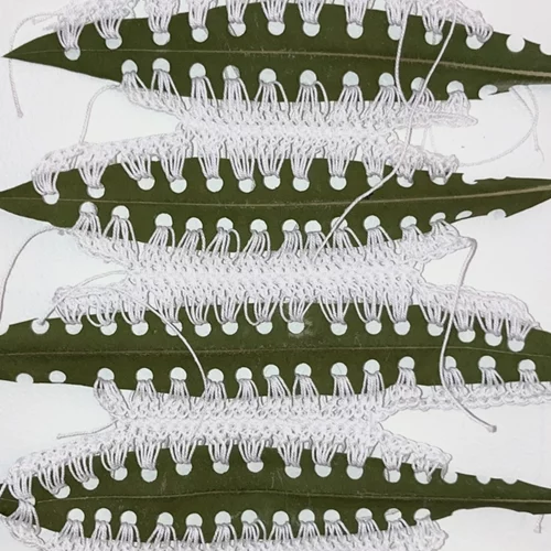 Τέσσερις καλλιτέχνιδες "Αναζητούν την Απτότητα"