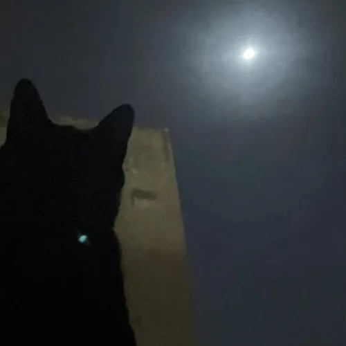 Ένα αλλώτικο "Silent Night" στην οδό Βατσαξή