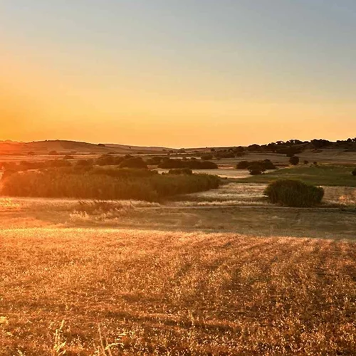 Λήμνος, η ομορφότερη από όλες τις στεριές σε 8 γαστρονομικές στάσεις