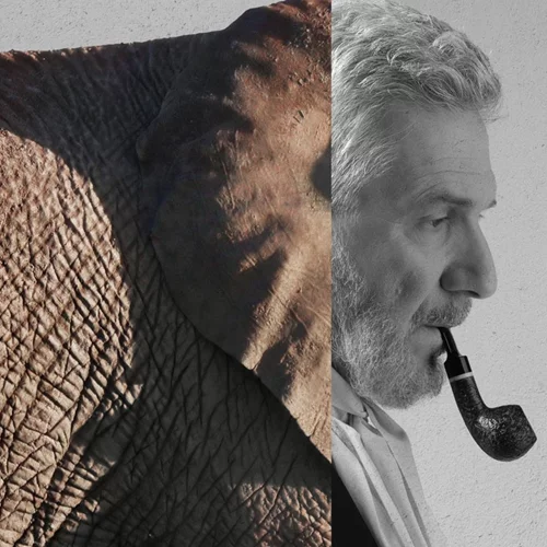 Τρία έργα που αγαπήσαμε στο σινεμά ανεβαίνουν στη σκηνή