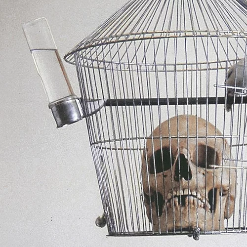 Εγκαίνια: Οι εκθέσεις της εβδομάδας (15-21/1)