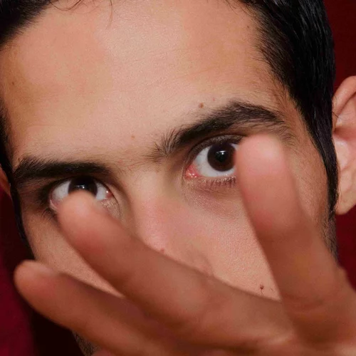 Όσα μάθαμε για τον χορογράφο Δημήτρη Μυτιληναίο και το "REDUNDANCes"