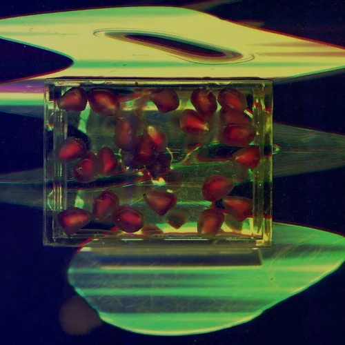 "Για πολλά χρόνια κοιμόμουν νωρίς": Η Νάνα Σαχίνη σε ένα βιωματικό workshop-ταξίδι στη μνήμη της παιδικής ηλικίας