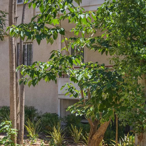 Παραδίδεται στους κατοίκους του Νέου Κόσμου το 9ο πάρκο "τσέπης" της πόλης