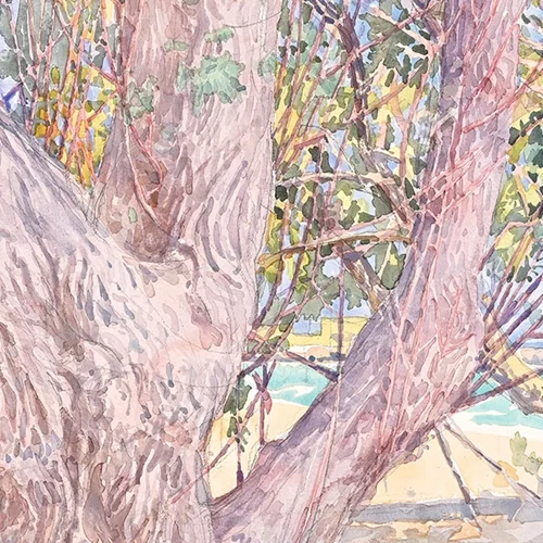 Ο Δημήτρης Κατσιγιάννης ζωγραφίζει "en plein air"