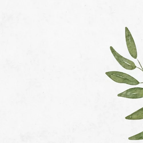 Πώς φτιάχνεις μια φιλική προς το περιβάλλον βιβλιοθήκη;