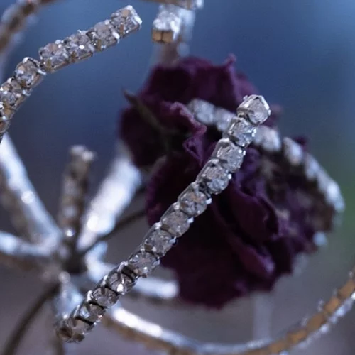 "Amuse Gueule": Δύο καλλιτέχνιδες μας "σερβίρουν" το πρώτο σόου του OKAY initiative space