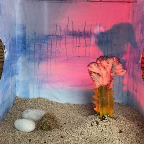 Το CineFIX του ΕΜΣΤ παρουσιάζει "Σινεμά για είδη συντροφιάς"