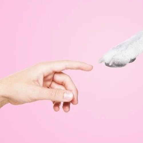 Τετράποδοι επισκέπτες στο Εθνικό Μουσείο Σύγχρονης Τέχνης