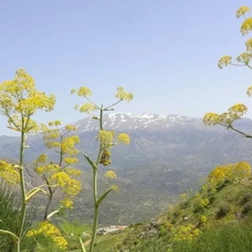 Η νέα έκθεση μίας σύγχρονης εικαστικού είναι αφορμή για να επισκεφθείς το Ρέθυμνο