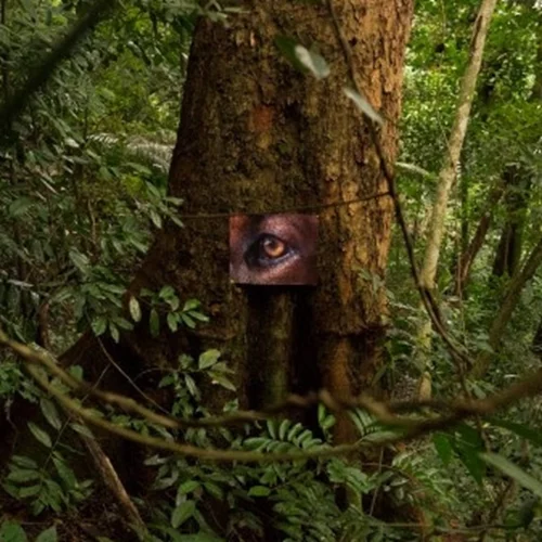 Διαβάστε το νεό "Χταπόδι" του ΕΜΣΤ