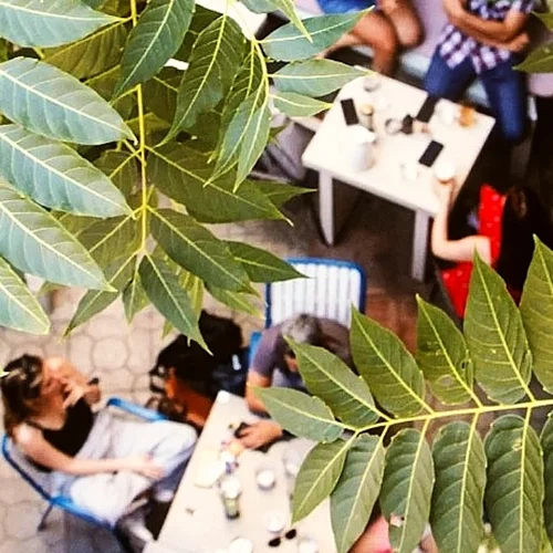 Τα μπαρ των αθηναϊκών αυλών