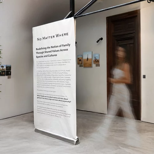 "No matter where": Μια φωτογραφική έκθεση με μήνυμα για την οικογένεια και τη διατήρηση του περιβάλλοντος