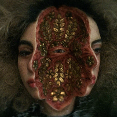 "Αγαπούσε τα Λουλούδια Περισσότερο": Η νέα ταινία του Γιάννη Βεσλεμέ στο φεστιβάλ της Τραϊμπέκα