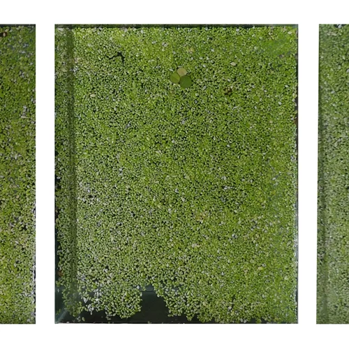 "Trails of Voices": Μοναχικούς περιπάτους στη φύση ζωγραφίζει ο Χρήστος Κεραμάρης