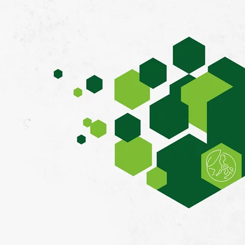 Workshop για τη δημιουργία βιώσιμων βιβλιοθηκών διοργανώνει το Ινστιτούτο Γκαίτε