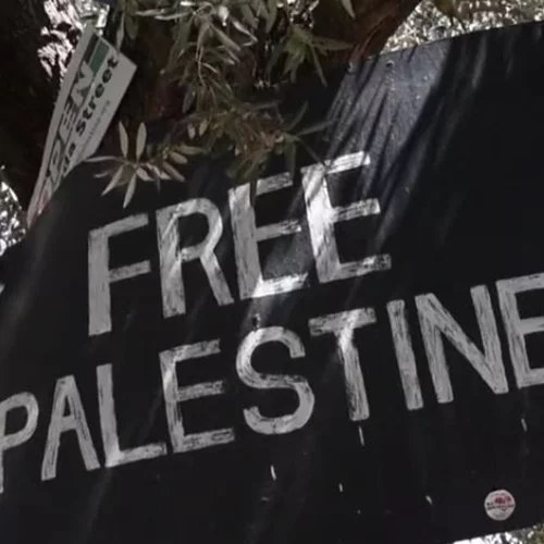 Λάνθιμος, Αλμοδόβαρ, Γαβράς και 350 σκηνοθέτες καταγγέλουν την απάθεια απέναντι στην Παλαιστίνη