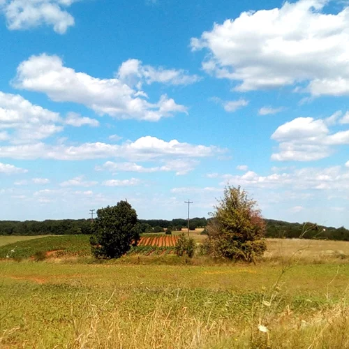 Άνθρωποι σε πέντε σημεία της Ελλάδας μοιράζονται τι σημαίνει για εκείνους ο Έβρος