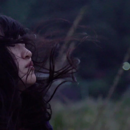 Φαντάσματα, ιρλανδικές παμπ και πολιτική στο 14o Ethnofest