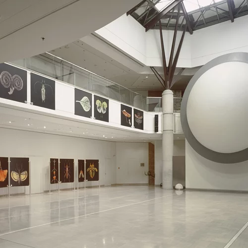 Το Μουσείο Γουλανδρή συζητά για τη σεισμική και ηφαιστειακή δραστηριότητα στη Σαντορίνη