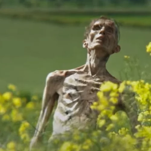 Γιατί φρίκαρε το ίντερνετ με το τρέιλερ του "28 Χρόνια Μετά";