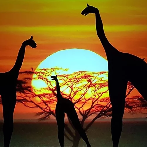 Χορός και σκιά δημιουργούν ένα ξεχωριστό θέαμα στον "Ελληνικό Κόσμο" από τους διάσημους Mobiles