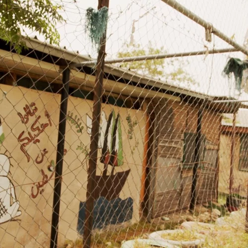 Δωρεάν online προβολές για την Παλαιστίνη από το Balkan Can Kino