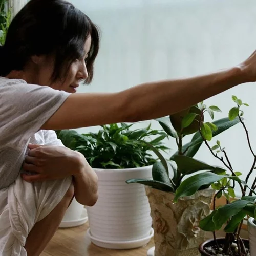 Οι ταινίες που βασίζονται στα βιβλία της νομπελίστριας Χαν Γκανγκ