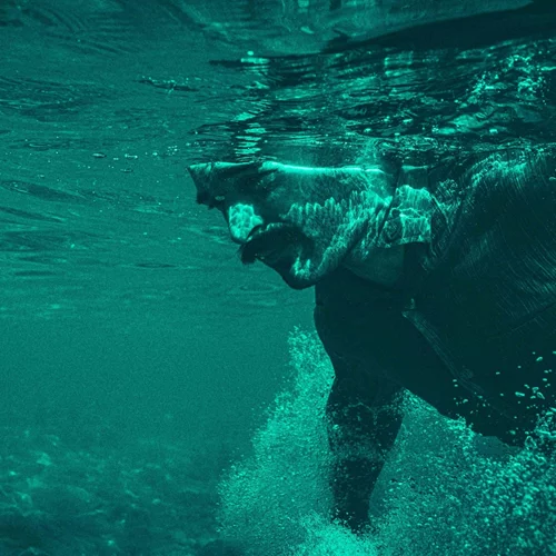 Η "Φώκια" – Ο συγκινητικός μονόλογος ενός πατέρα