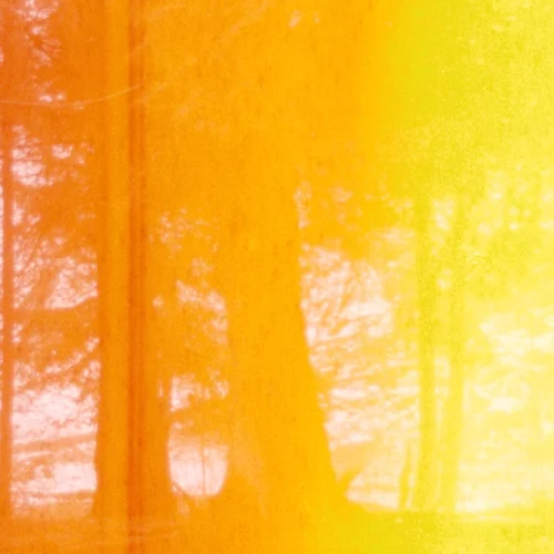 Τι συμβαίνει όταν απαρνείσαι την εθνική σου ταυτότητα;