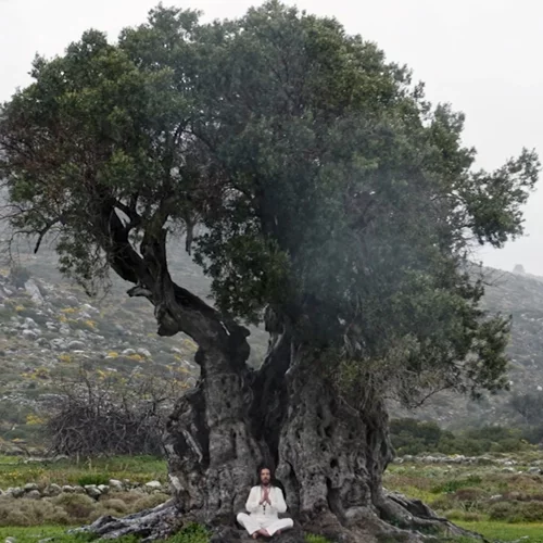 Ατμοσφαιρικό τρέιλερ για τον "Αόρατο Κόσμο" του Μανουέλ ντε Κόκο