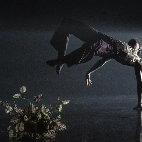 Η προπώληση ξεκινά για το Διεθνές φεστιβάλ χορού Καλαμάτας!