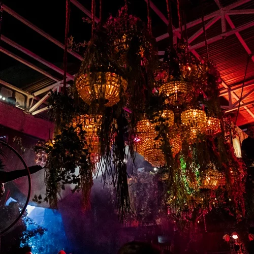 Μια νύχτα στο δάσος του Μέλανα Δρυμού