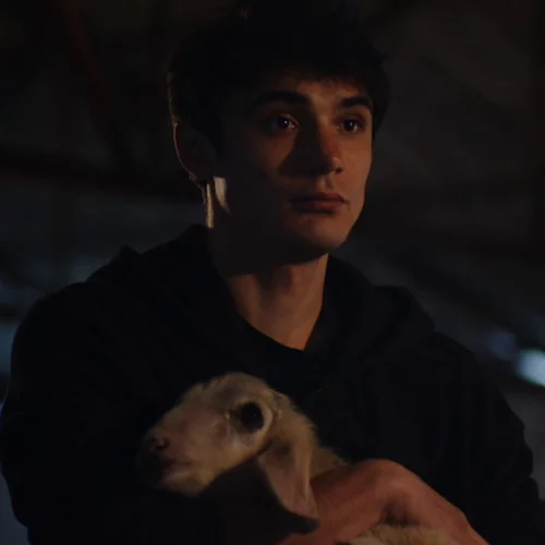 Μια κοινωνία έτοιμη για σφαγή στο τρέιλερ για το "Κρέας" του Δημήτρη Νάκου