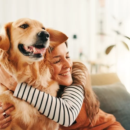 Η χώρα μας γίνεται pet-friendly: Το νέο σήμα για τουριστικά καταλύματα που αλλάζει τη φιλοξενία