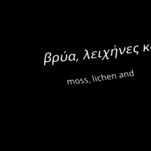 "ένας τέλειος κόσμος" ξετυλίγεται στο cross section archive