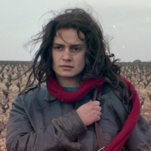 Οι καλύτερες ταινίες που παίζουν τώρα τα σινεμά (18-24/9)