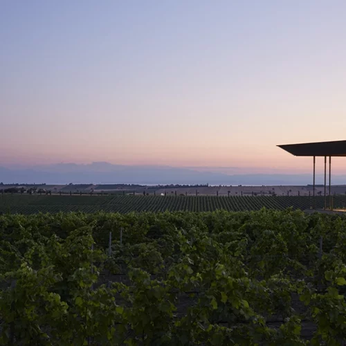 Τα οινοποιεία ως προορισμοί