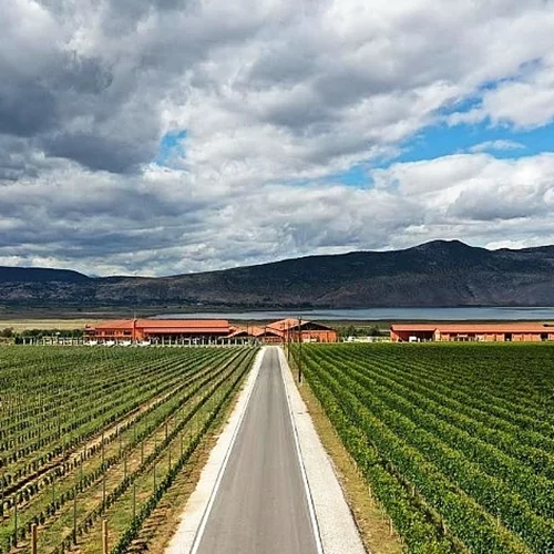 Τρία ελληνικά οινοποιεία στα καλύτερα του κόσμου για το 2022