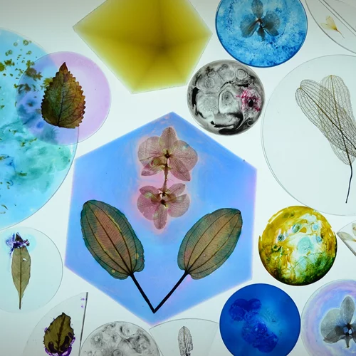 ''Ammophila vol.4 Hopes and Promises '': Το ετήσιο εικαστικό γεγονός της Ελαφόνησου μιλά για την ελπίδα και τα όνειρα