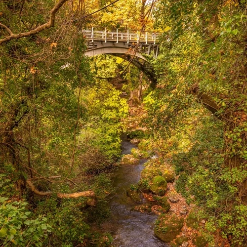 Όλοι οι δρόμοι οδηγούν στο Φαράγγι του Βουραϊκού