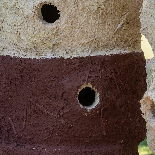 Εγκαινιάζεται σήμερα η νέα έκθεση του Μεγάρου Μουσικής