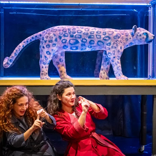 Το "Καπλάνι της βιτρίνας" έρχεται του χρόνου στο "Μιχάλης Κακογιάννης"