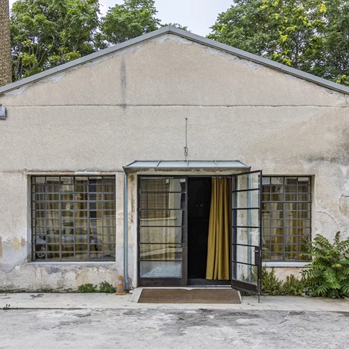 ΠΛΥΦΑ: Το "φυτώριο" της εναλλακτικής σκηνής της Αθήνας