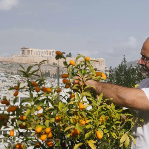 Το 'Amphibian' ανοίγει στη Στέγη από την ομάδα του Soil