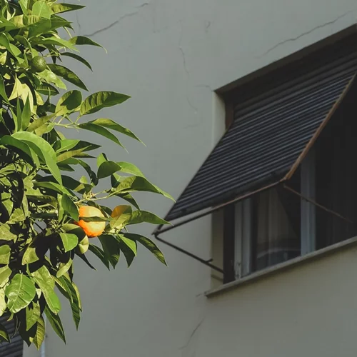 Τι αγαπάμε και τι δε συμπαθούμε στα Κάτω Πετράλωνα