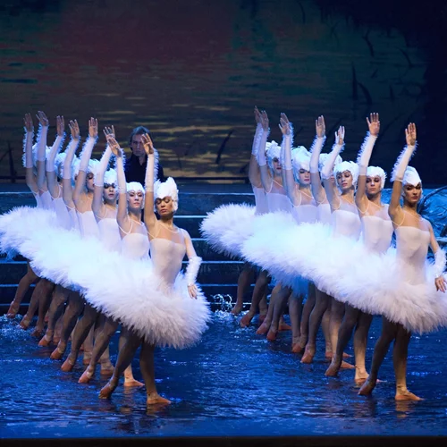 Μια πραγματική "Λίμνη των κύκνων" έρχεται στην Αθήνα από το Μεγάλο Μπαλέτο της Ουκρανίας