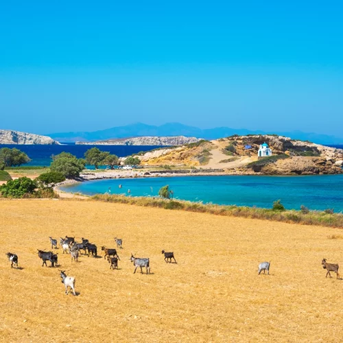 Αυτές τις 10 παραλίες της Ελλάδας αποθεώνει το περιοδικό Time