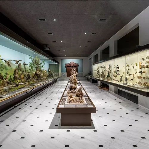 Δωρεάν στο Εθνικό Μουσείο Φυσικής Ιστορίας Γουλανδρή, το πρώτο Σάββατο του μήνα